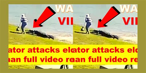 Sydney Shark Attack Video On Reddit Victim Identified Simon Nellist A 35-year-old man from Sydney&39;s south has been named the victim of a fatal shark attack on the 16th of February. . Alligator attack video unedited video reddit